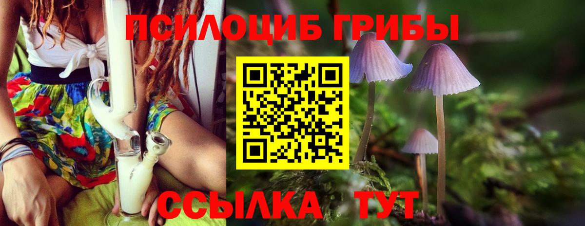 как найти закладки  Галлюциногенные грибы MAGIC MUSHROOMS  Астрахань  Вход с VPN  Псилоцибиновые грибы прущие грибы 