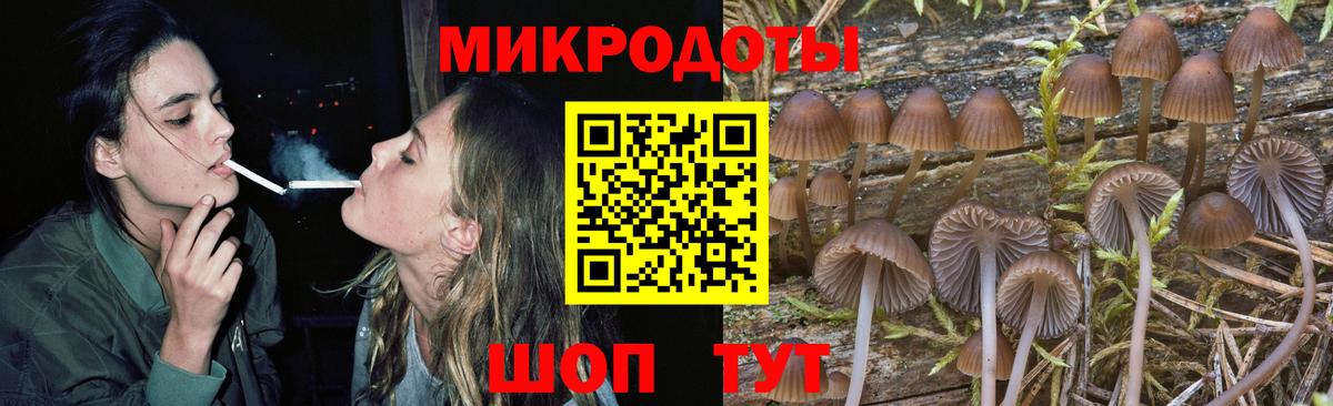 Галлюциногенные грибы Magic Shrooms Астрахань